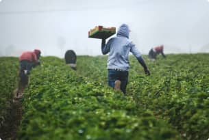 Seguros para el campo