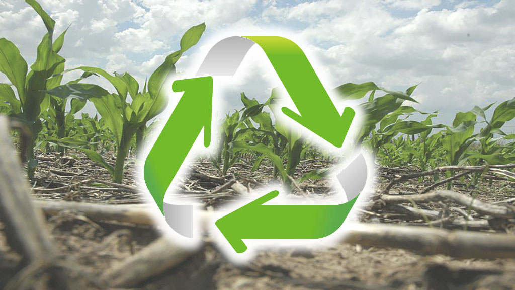 Agricultura Regenerativa: El Futuro de la Producción Sostenible