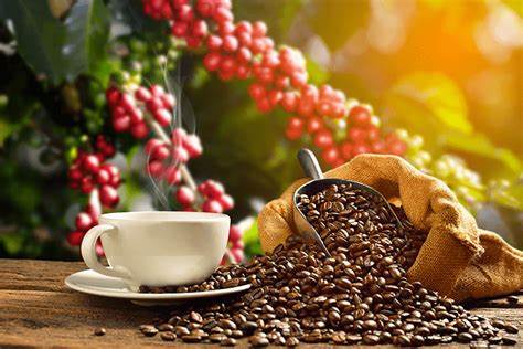 café colombiano alcanza precios históricos