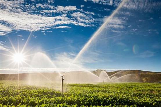 Agua Salada en la Agricultura