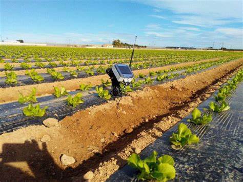 Cómo los Sensores Optimizan el Riego y la Fertilización en la Agricultura