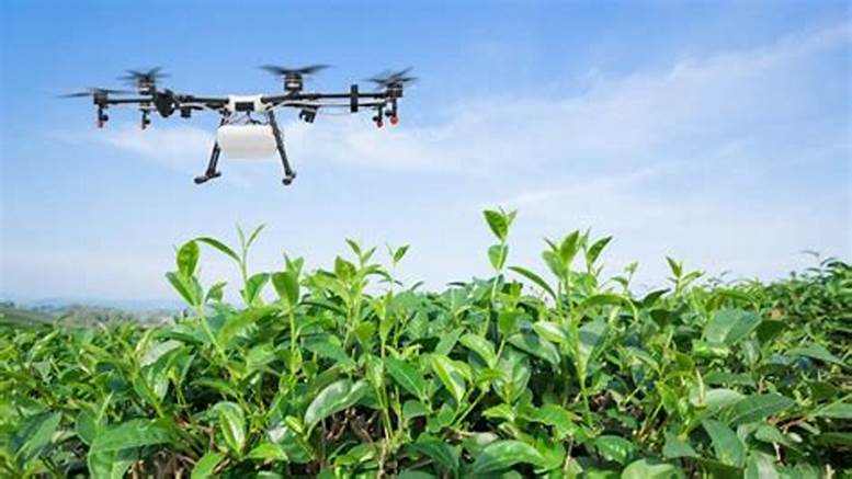 Drones en banano