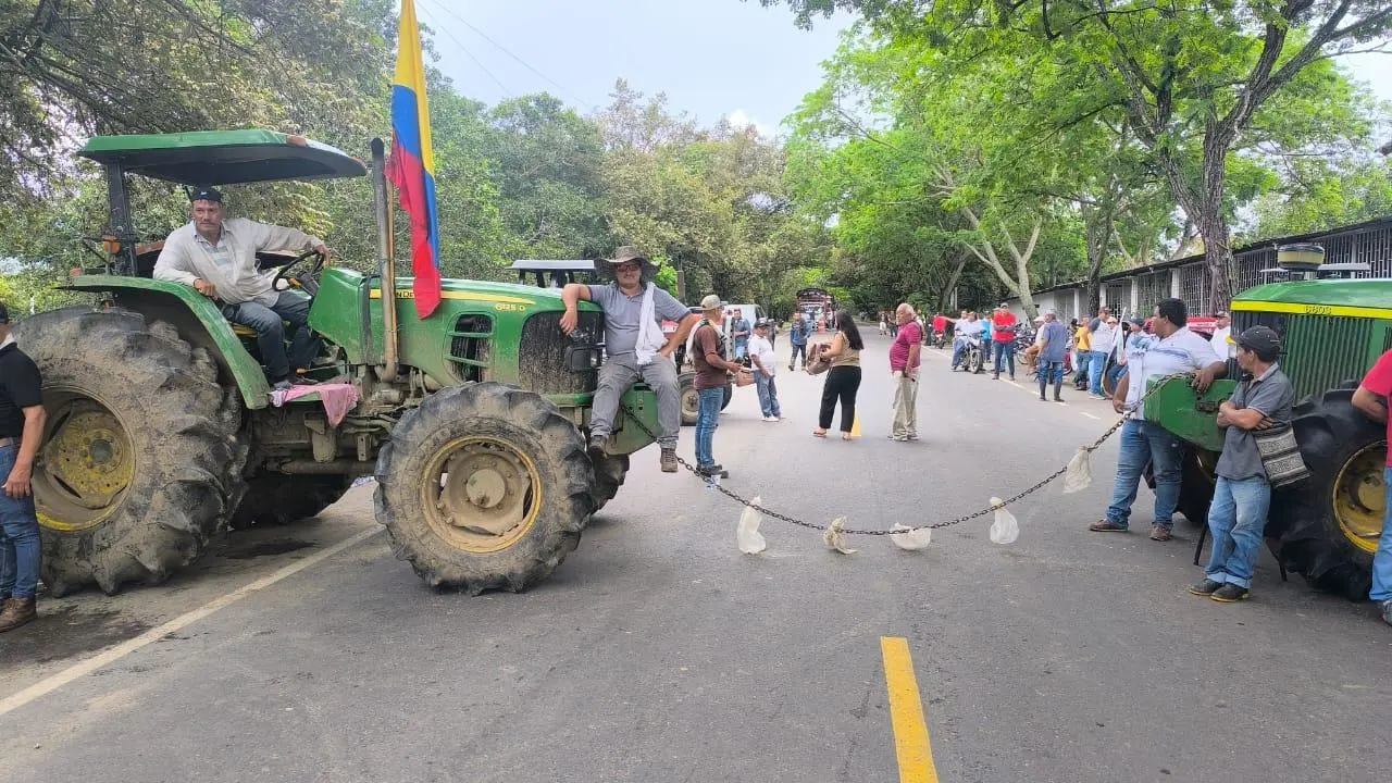Parro arocero colombia