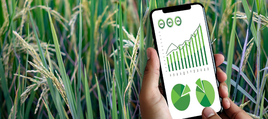 ¿Qué tan maduro está el comercio digital de agroinsumos?