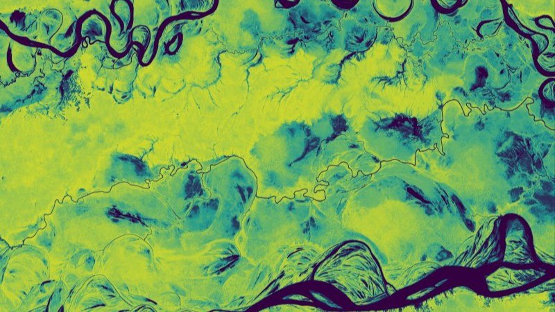 Fuente: Datos de carbono forestal del Planet que muestran la región de Putamayo en la selva amazónica
