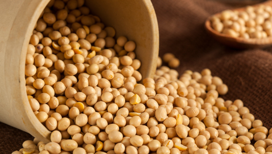 Colombia aumenta importaciones de cereales y soya