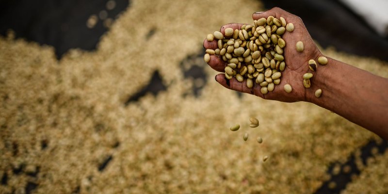 exportaciones agropecuarias colombianas