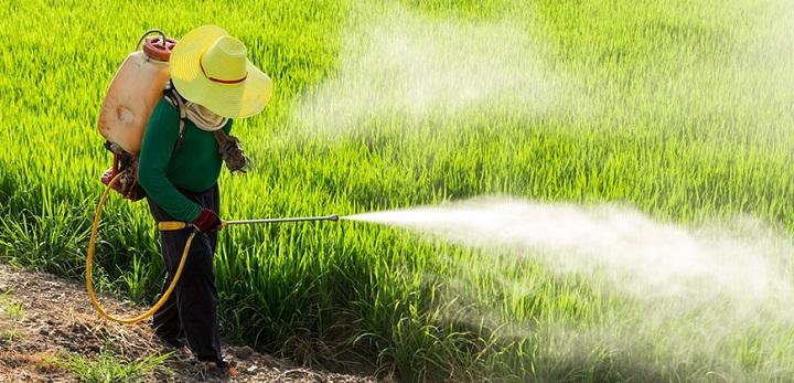 manejo seguro de agroquímicos