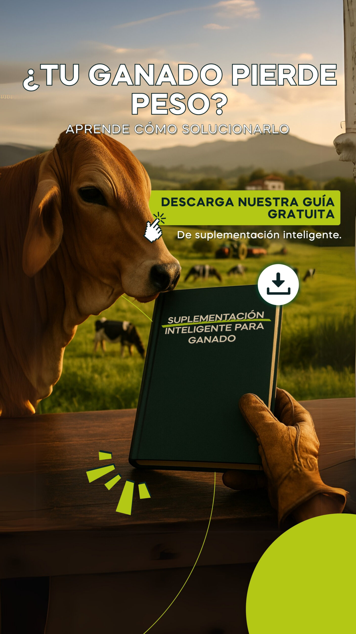 suplementación estratégica en ganadería