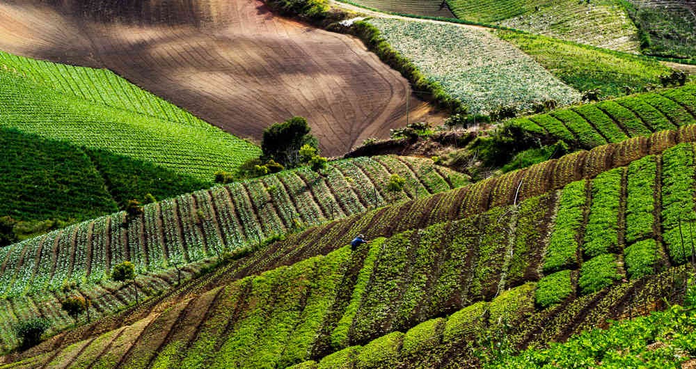 Crop Booster: tecnología para mejorar tus cultivos