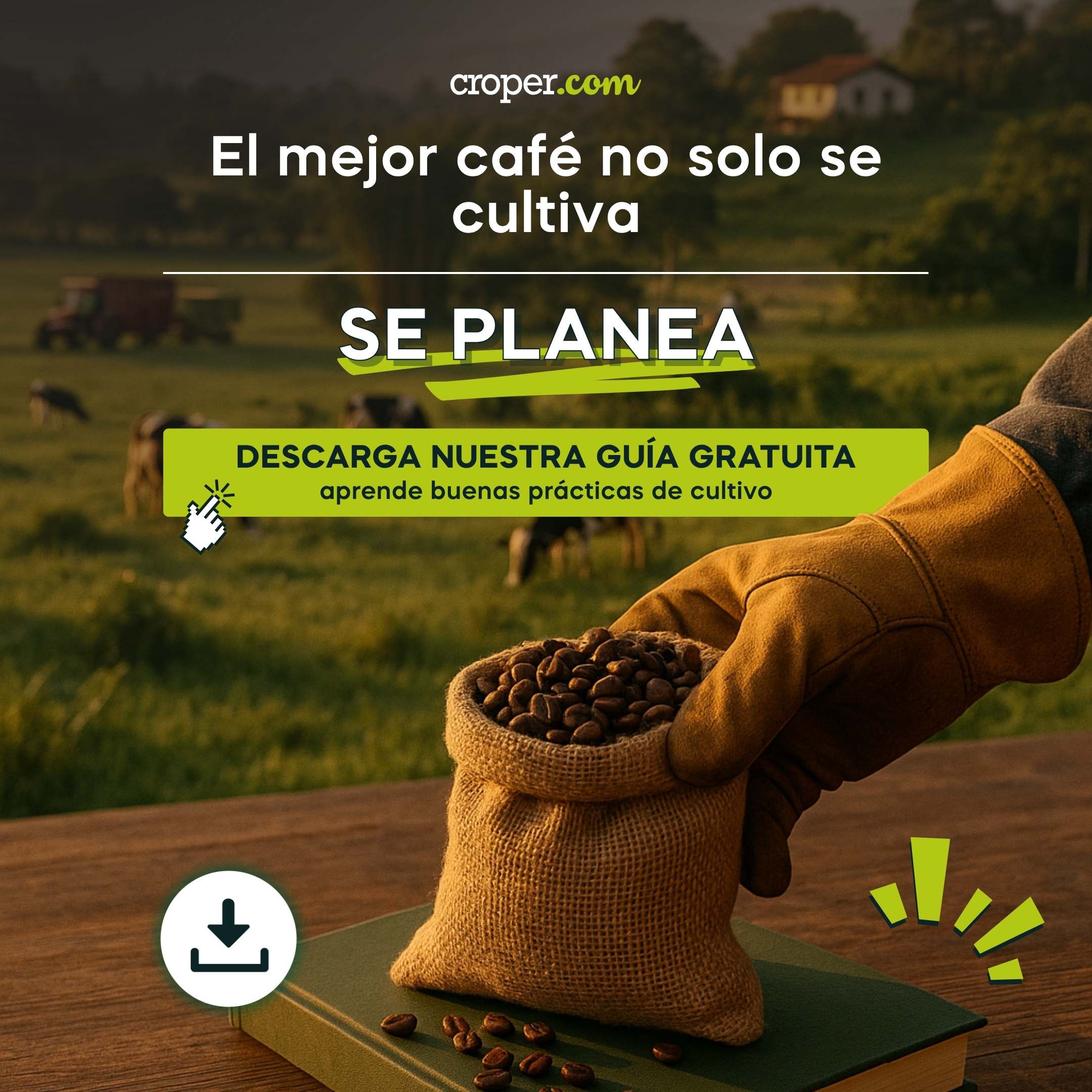 Aumenta tu producción de café sin subir costos
