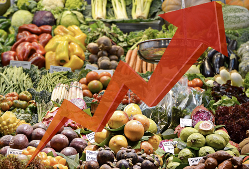 Guía completa de precios agropecuarios en tiempo real