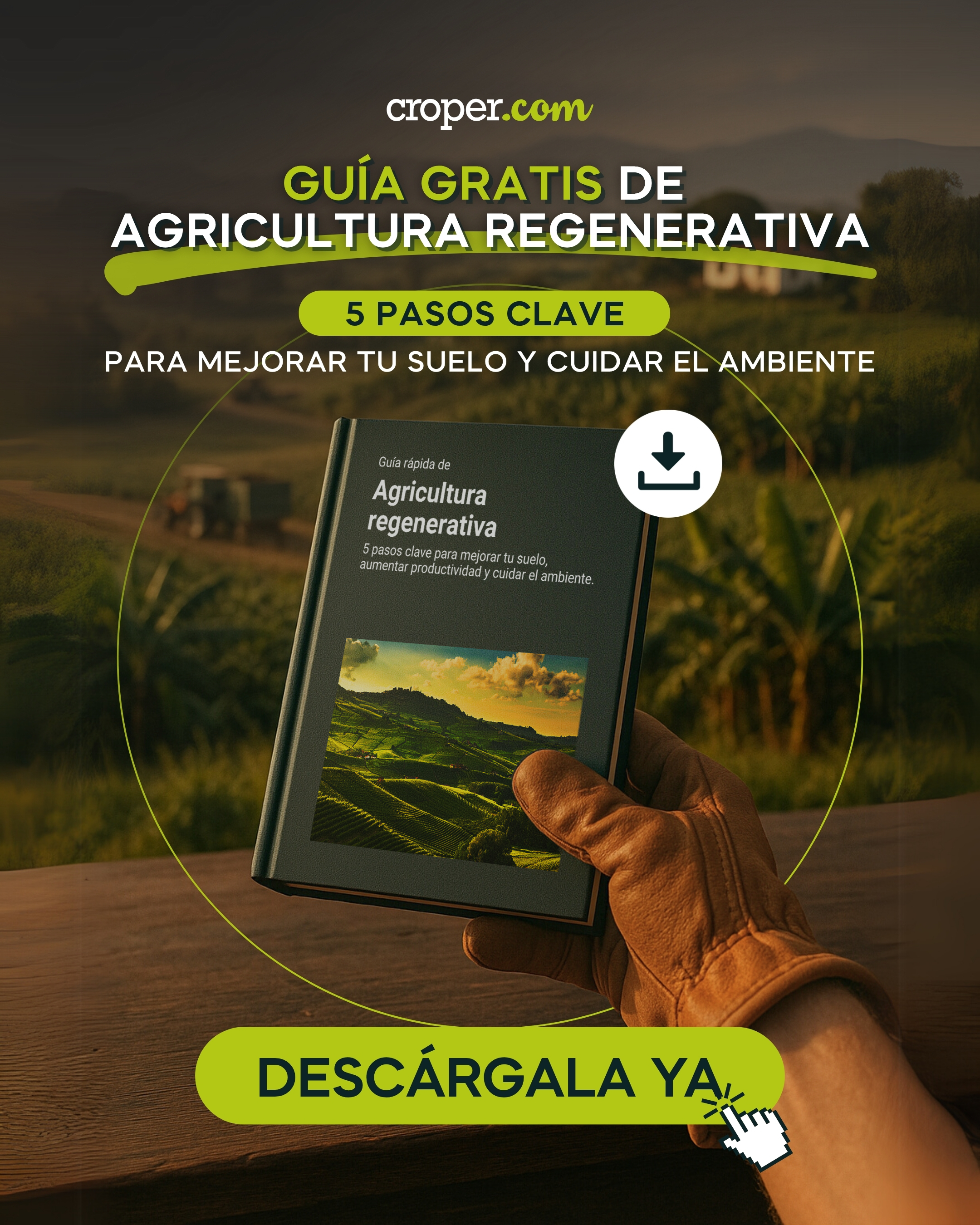 regeneración de suelos agrícolas fertilizantes