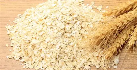 Avena resistente al clima: una alternativa con mejor rendimiento para agricultores colombianos