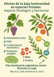 Estrés por baja luminosidad en frutales