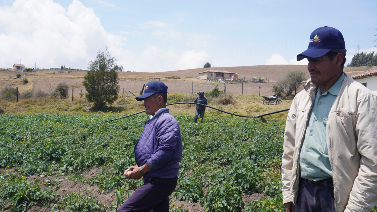 Incentivo para riesgos agropecuarios | Finagro 2025
