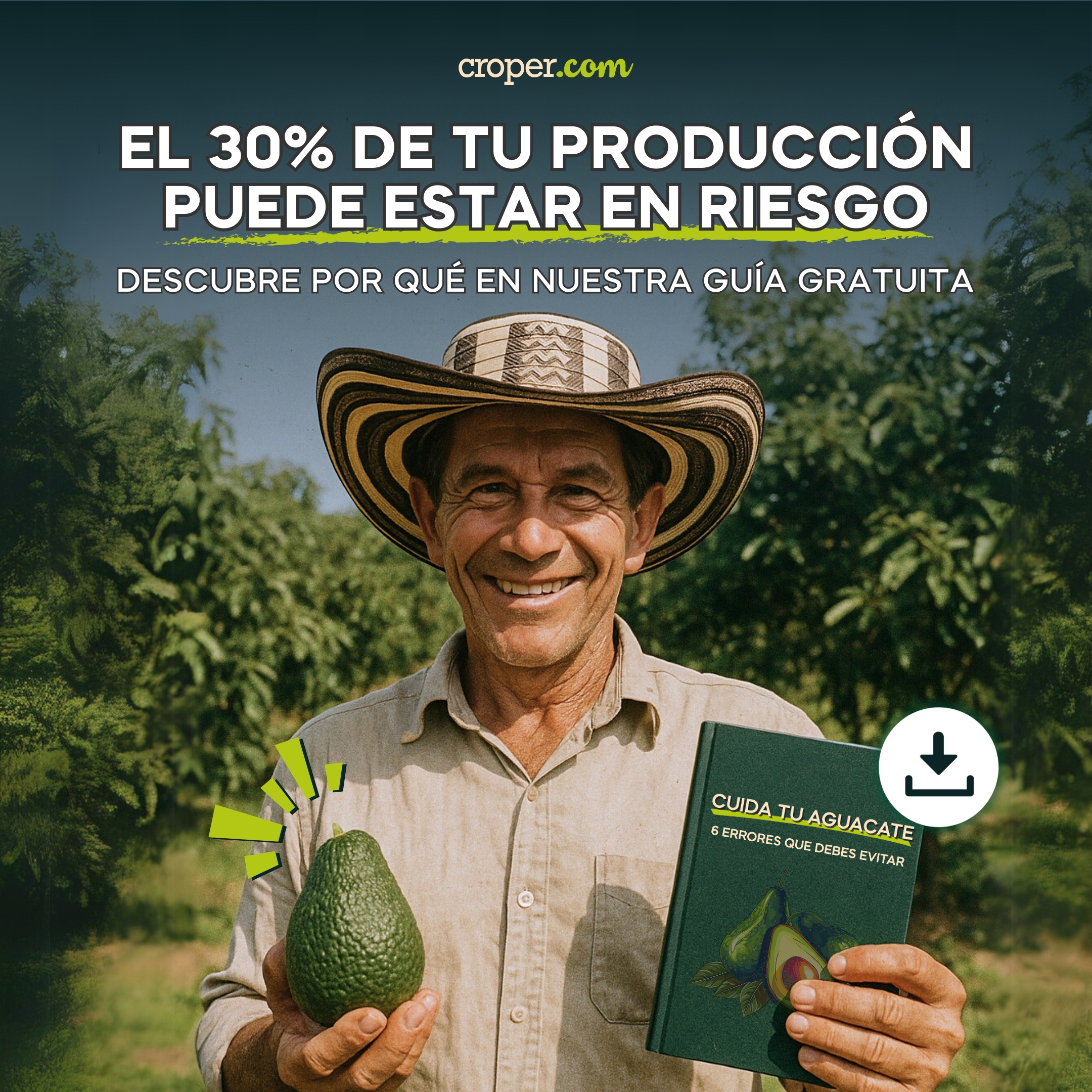6 errores en la producción de aguacate