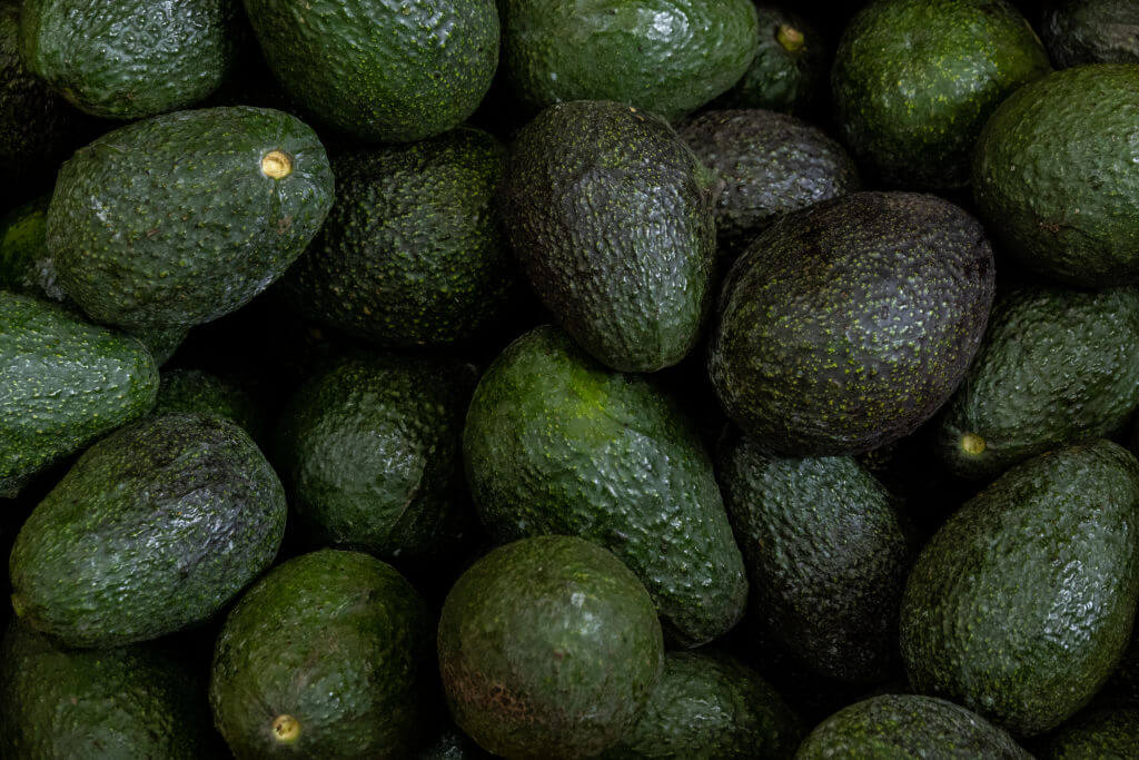 Riego por pulsos en laderas con aguacate Hass: ahorra agua y mejora la productividad