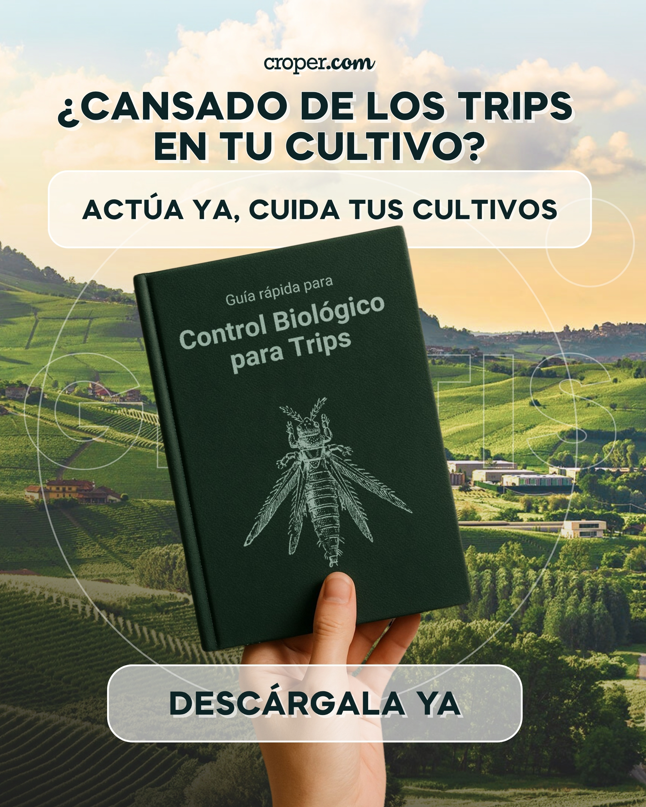 Cómo vender Bonos de Carbono desde tu finca agrícola