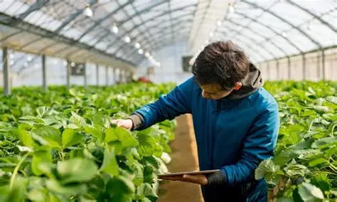 Agrobioemprendimiento