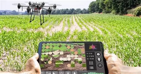compra digital agro