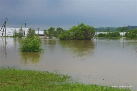 Impacto del Fenómeno de La Niña 2026 en la agricultura colombiana