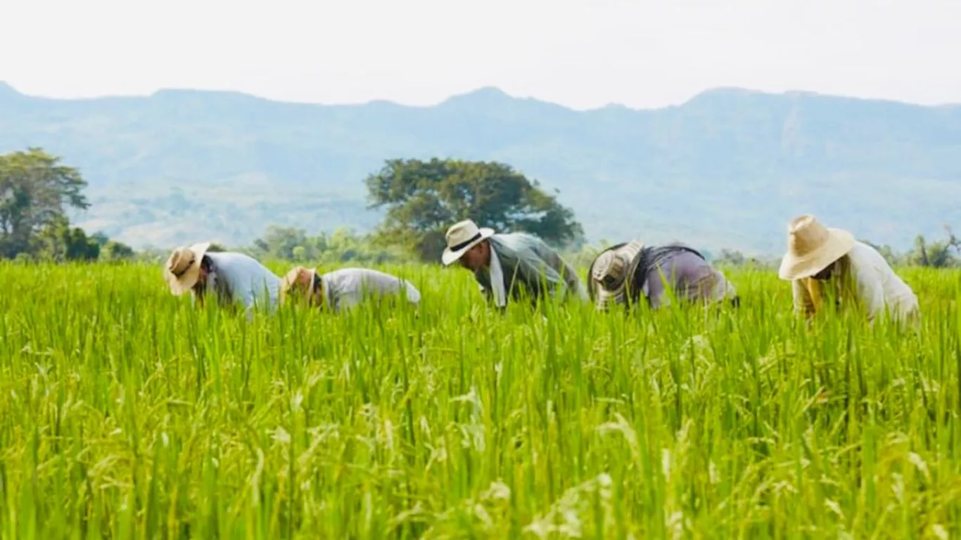 Alivios financieros Banco Agrario Córdoba