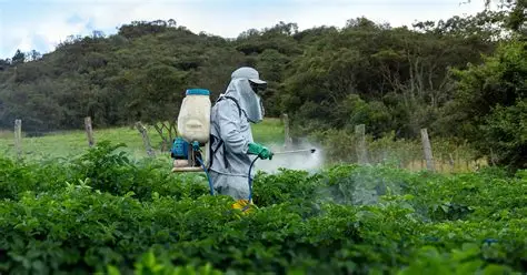¿Por Qué No te Funcionan los Insecticidas? Errores Comunes que Están Afectando tu Cultivo en Colombia