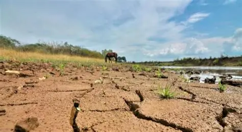 Fenómeno de El Niño en Colombia: impacto en el agro, riesgos y estrategias para el sector rural en 2026