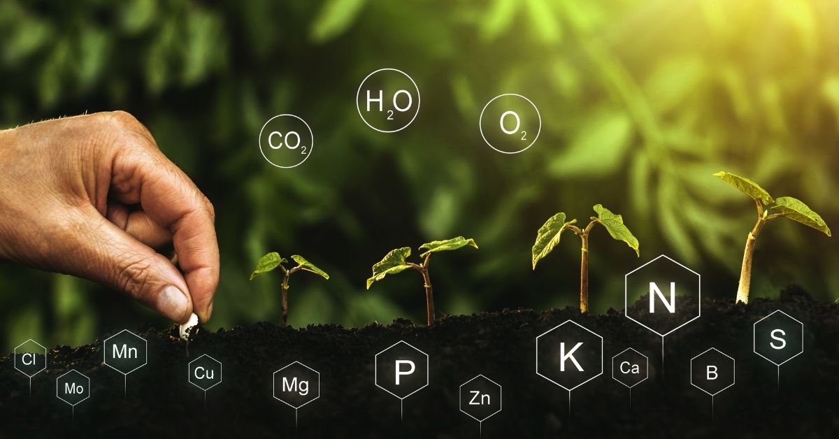 https://croper.com/provider/2383-fertilizantes-cenagro